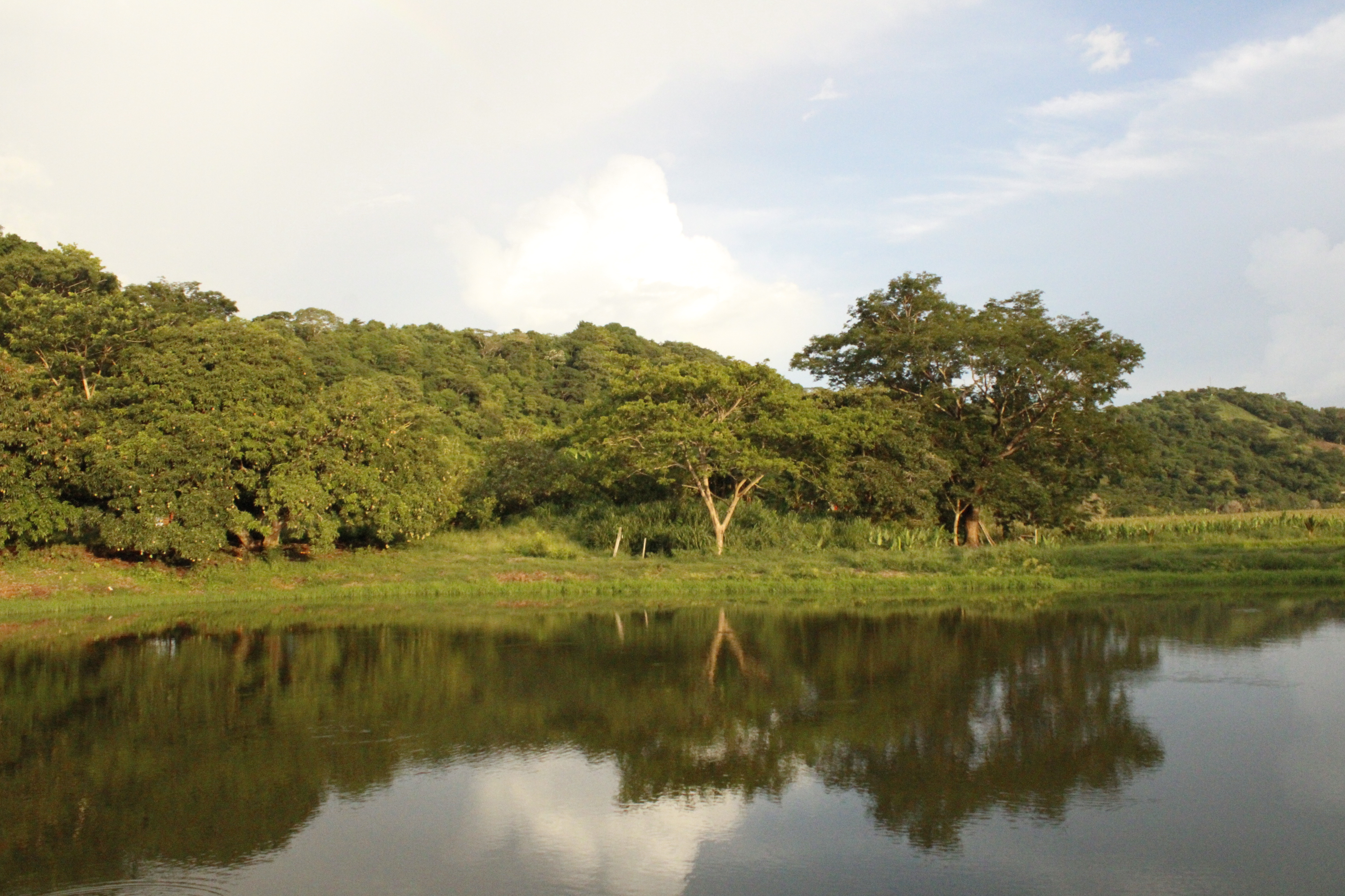 Ecosistema 3