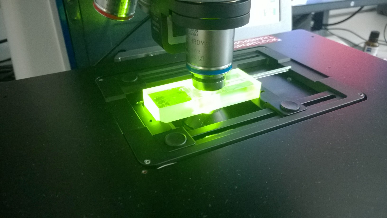 Microscopía
